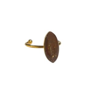 Gouden ring marquise bruin met goudsnippers